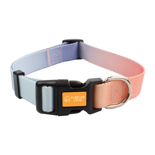 Furever Love Classic Collar