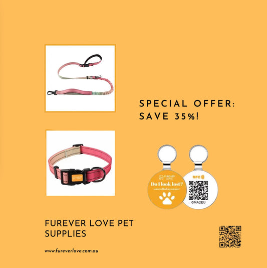 Furever Love Ultimate Pet Safety Bundle