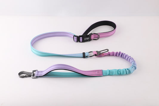 Anti-Shock Multifunctional Dog Leashes