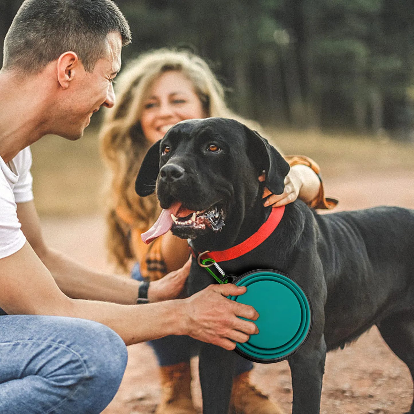 Collapsible Dog Bowls